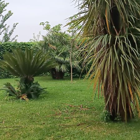 Villa Marano Caianello Vecchio 외부 사진